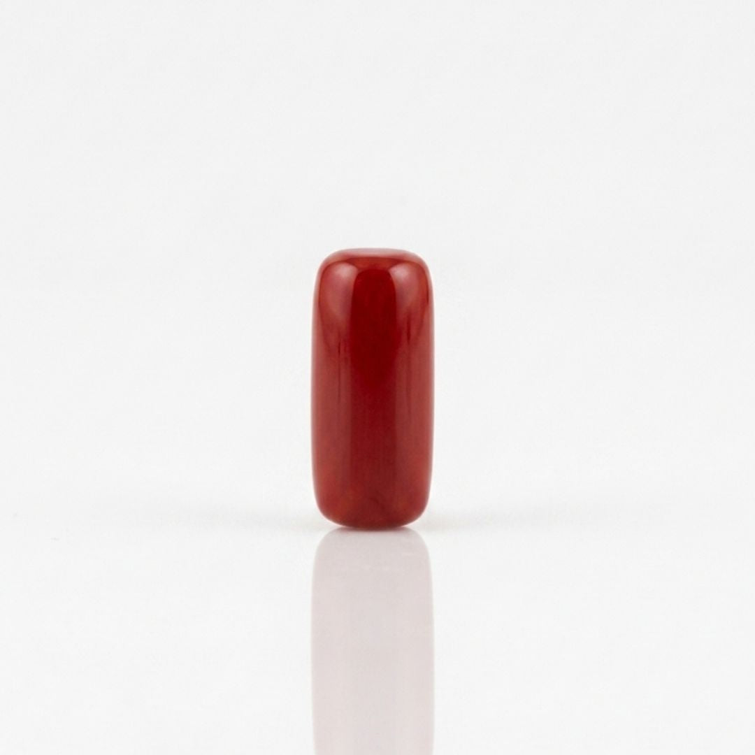 Certified Natural Red Coral