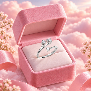 Eternal Trio Zircon Ring(Made With 925 Silver)